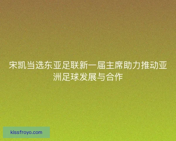 宋凯当选东亚足联新一届主席助力推动亚洲足球发展与合作 宋凯当选东亚足联新一届主席助力推动亚洲足球发展与合作